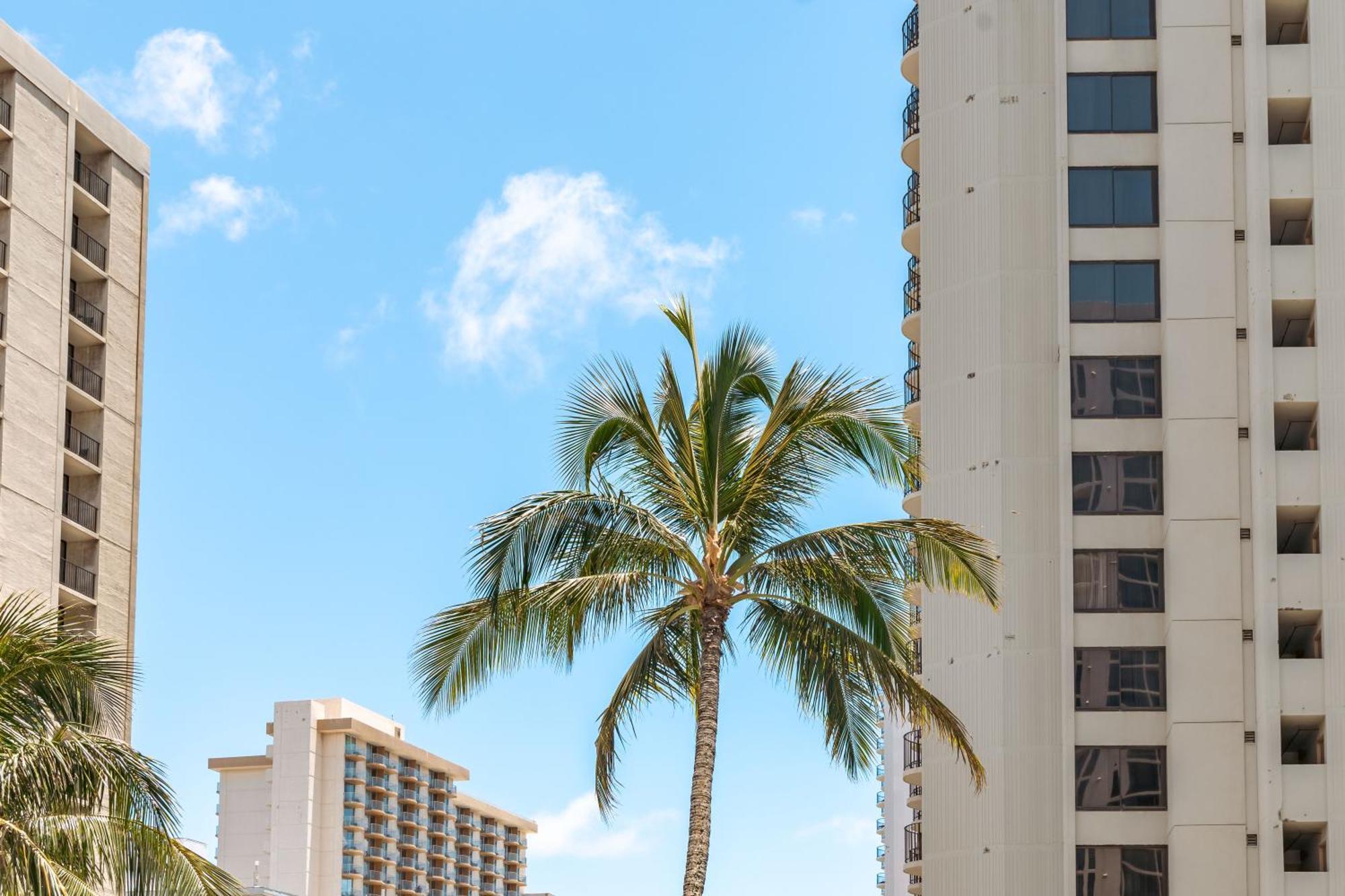 Beautiful Ocean And Diamond Head Views With Parking Apartment โฮโนลูลู ภายนอก รูปภาพ